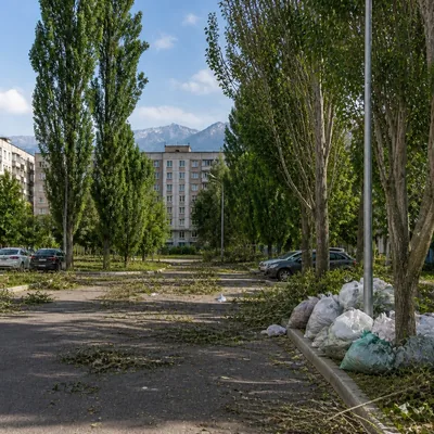 Захламлённый двор: кучи листвы, ветки, разбросанный бытовой мусор