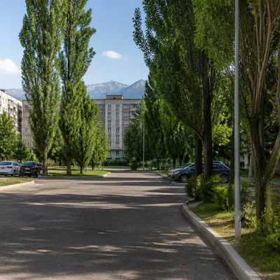 Чистый двор: подметённый асфальт, мусор вывезен