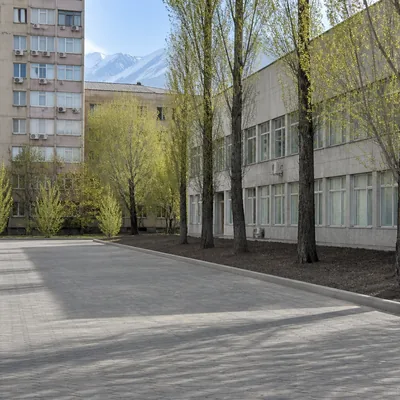 Чистый двор, всё вывезено, подметено