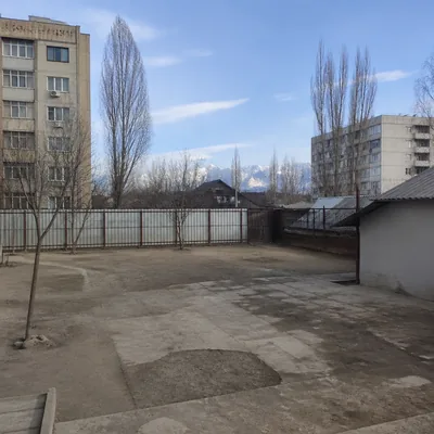 После: расчищенный двор, мусора нет