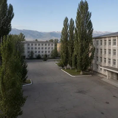 Освобождённая площадка