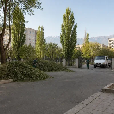 Спиленные ветки карагача кучей у забора во дворе