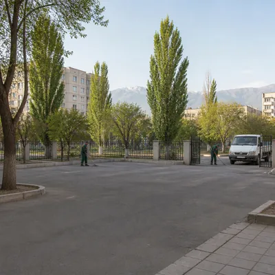 Пустой чистый двор после вывоза веток деревьев и листвы