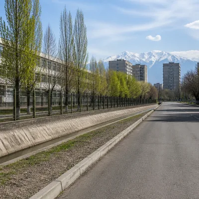 Чистая обочина после вывоза листвы и веток деревьев