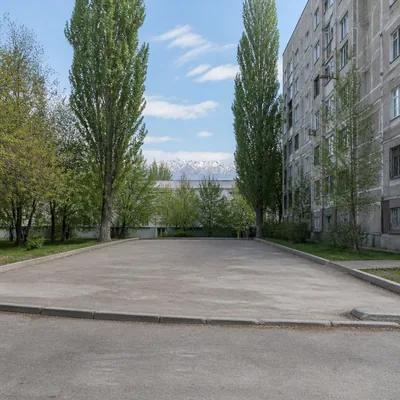 Вывезенное дерево, распиленное и убранное с территории