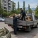 Фото от клиента: вывоз тбо