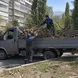 Фото от клиента: вывоз веток, деревьев и листвы