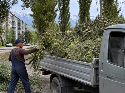 Вывоз веток и листвы газелью