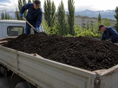 Плодородный слой земли в кузове