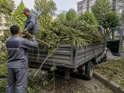 Вывоз веток и листвы с грузчиками