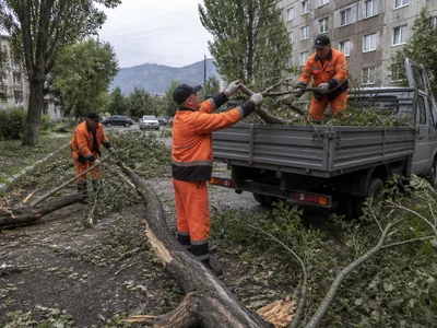 Срочный вывоз сломанных веток после шторма